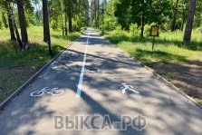 выкса.рф, В городском парке появилась дорожная разметка